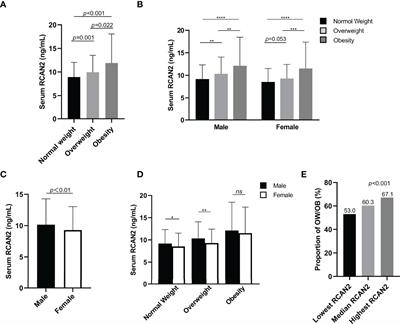 Association Between Circulating Regulator of Calcineurin 2 Concentrations With Overweight and Obesity